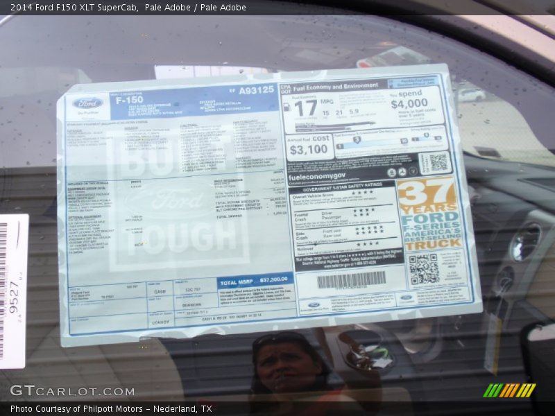 Pale Adobe / Pale Adobe 2014 Ford F150 XLT SuperCab