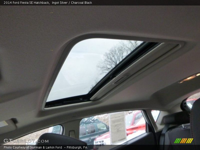 Ingot Silver / Charcoal Black 2014 Ford Fiesta SE Hatchback