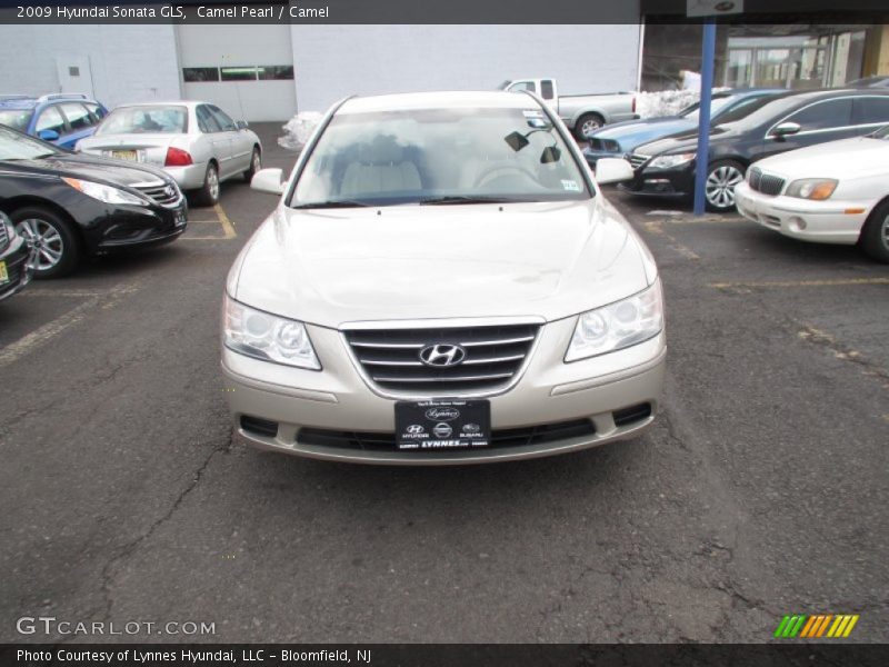 Camel Pearl / Camel 2009 Hyundai Sonata GLS