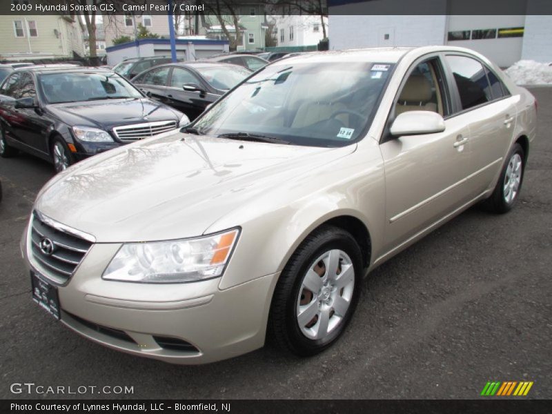 Camel Pearl / Camel 2009 Hyundai Sonata GLS