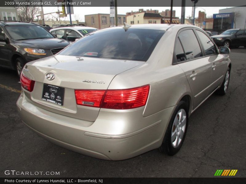 Camel Pearl / Camel 2009 Hyundai Sonata GLS