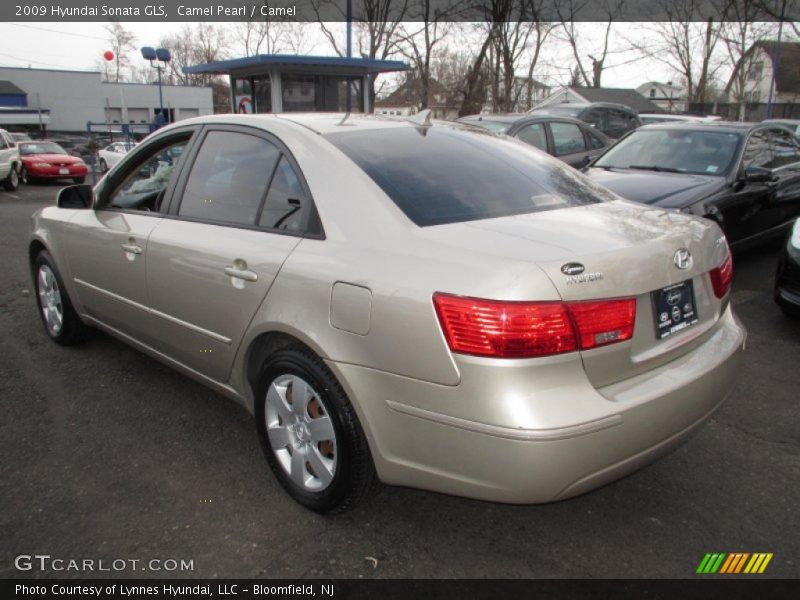 Camel Pearl / Camel 2009 Hyundai Sonata GLS