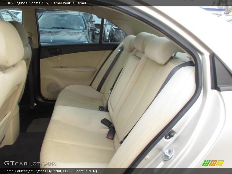 Camel Pearl / Camel 2009 Hyundai Sonata GLS