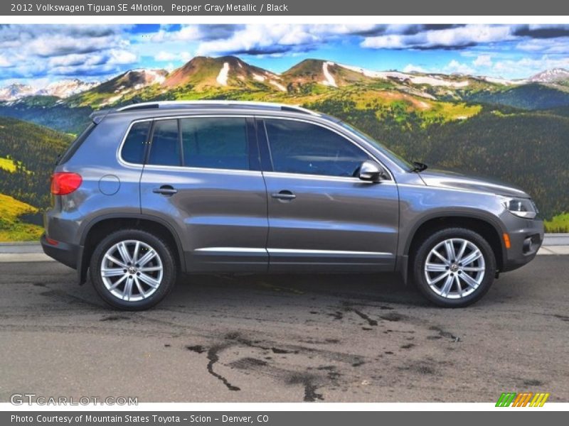Pepper Gray Metallic / Black 2012 Volkswagen Tiguan SE 4Motion