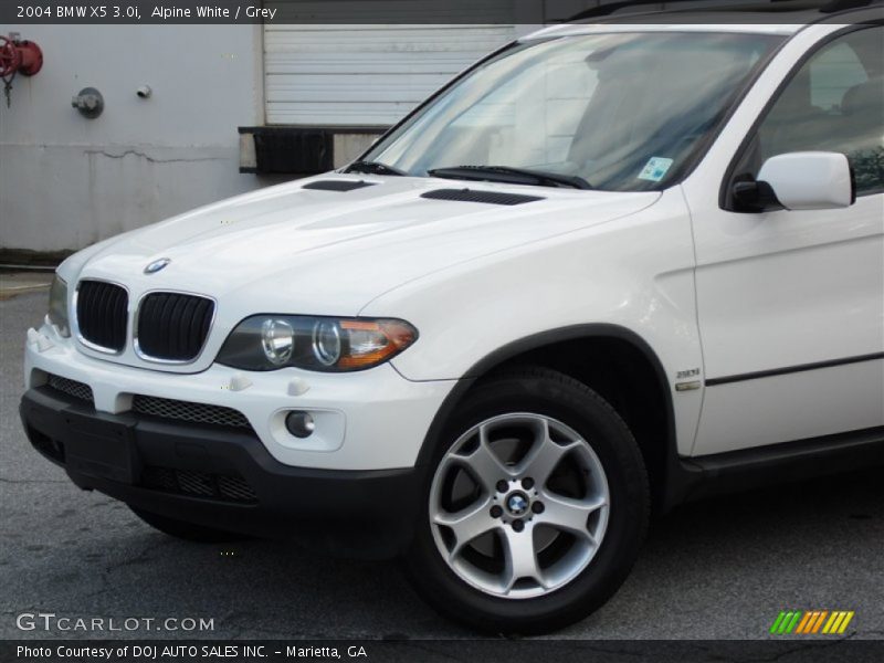 Alpine White / Grey 2004 BMW X5 3.0i