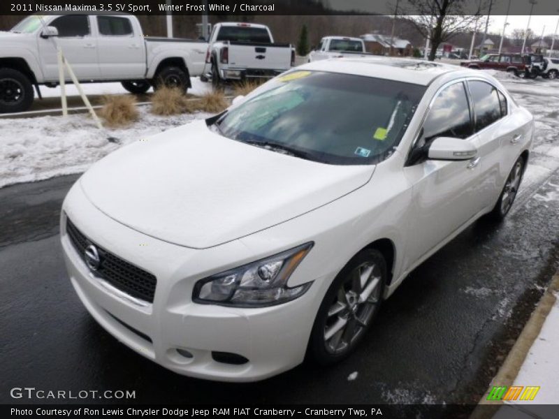 Winter Frost White / Charcoal 2011 Nissan Maxima 3.5 SV Sport