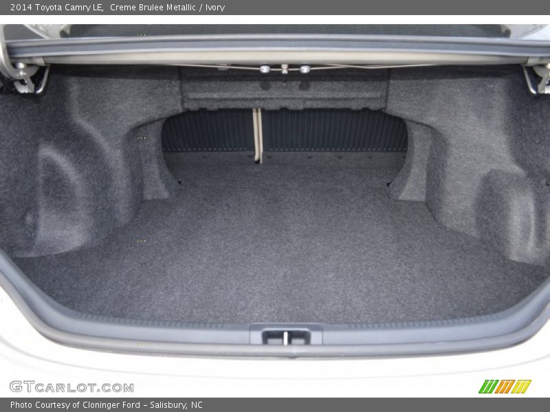 Creme Brulee Metallic / Ivory 2014 Toyota Camry LE