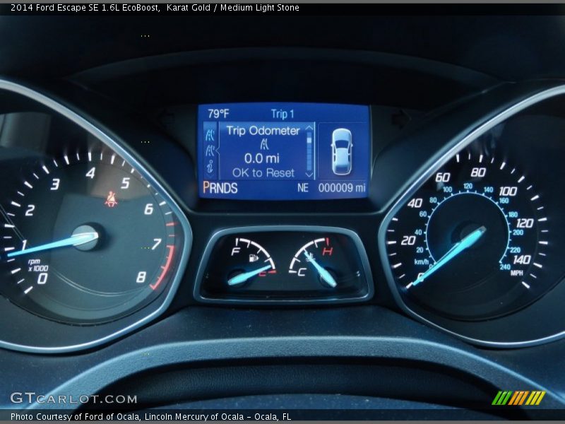 Karat Gold / Medium Light Stone 2014 Ford Escape SE 1.6L EcoBoost