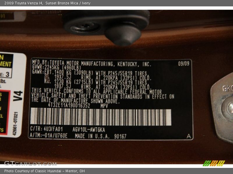 Sunset Bronze Mica / Ivory 2009 Toyota Venza I4