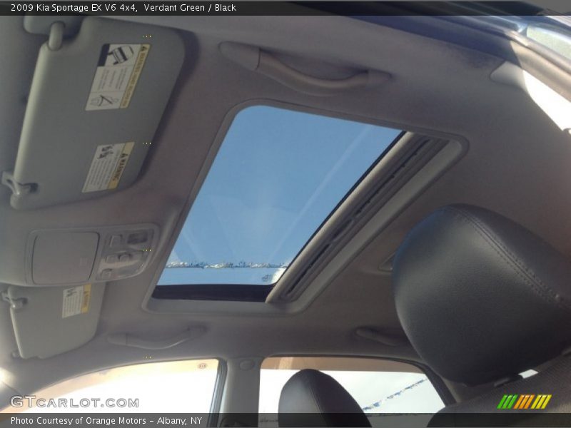 Verdant Green / Black 2009 Kia Sportage EX V6 4x4