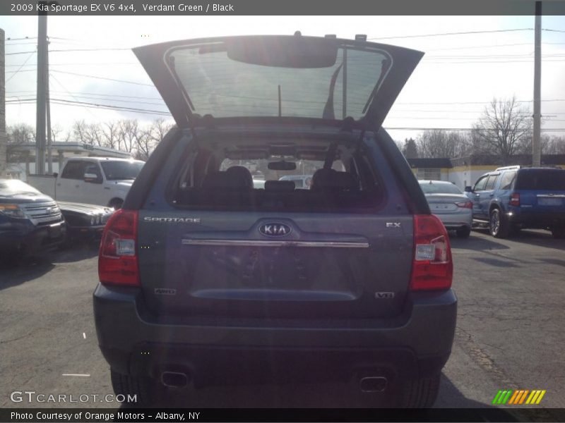 Verdant Green / Black 2009 Kia Sportage EX V6 4x4