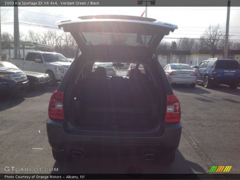 Verdant Green / Black 2009 Kia Sportage EX V6 4x4