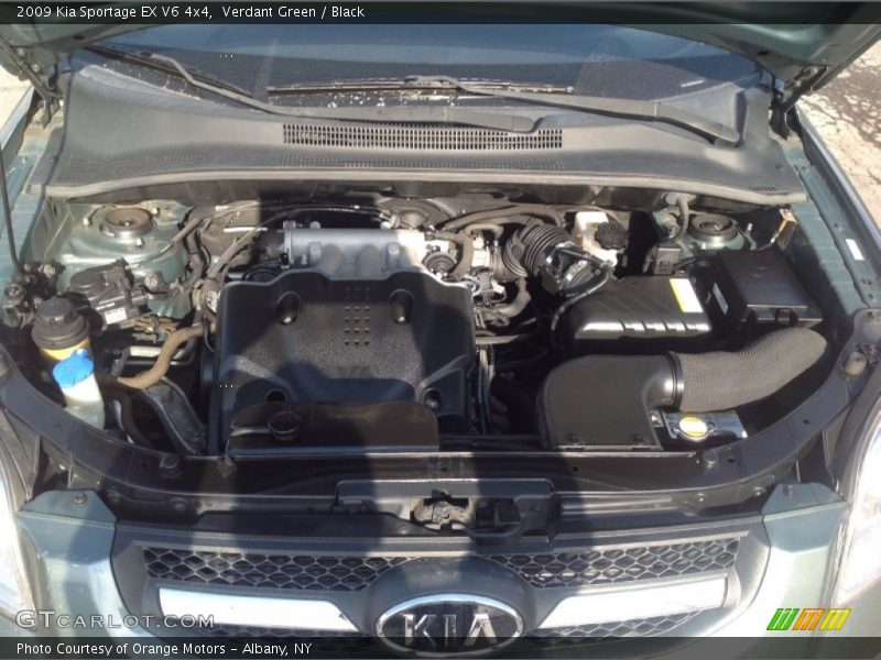 Verdant Green / Black 2009 Kia Sportage EX V6 4x4