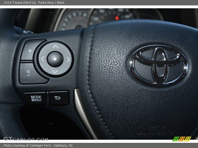Pyrite Mica / Black 2014 Toyota RAV4 LE
