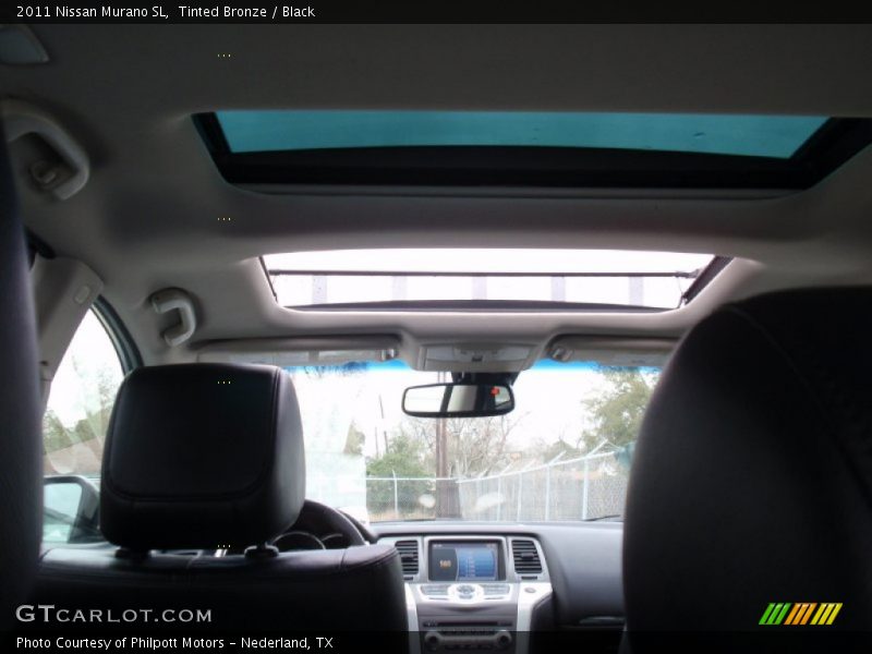 Tinted Bronze / Black 2011 Nissan Murano SL