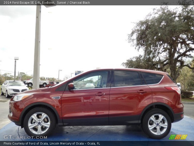 Sunset / Charcoal Black 2014 Ford Escape SE 1.6L EcoBoost