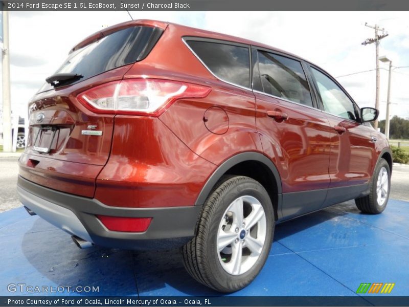 Sunset / Charcoal Black 2014 Ford Escape SE 1.6L EcoBoost