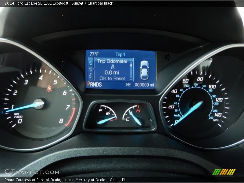 Sunset / Charcoal Black 2014 Ford Escape SE 1.6L EcoBoost