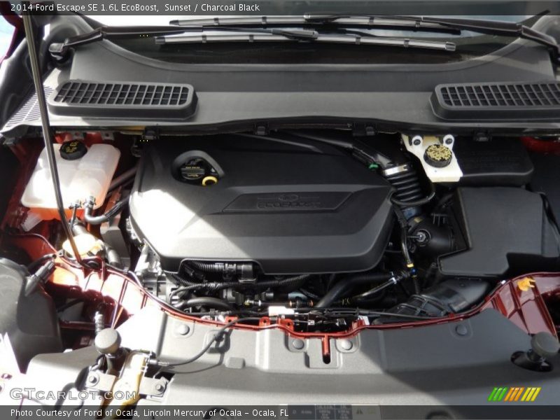 Sunset / Charcoal Black 2014 Ford Escape SE 1.6L EcoBoost