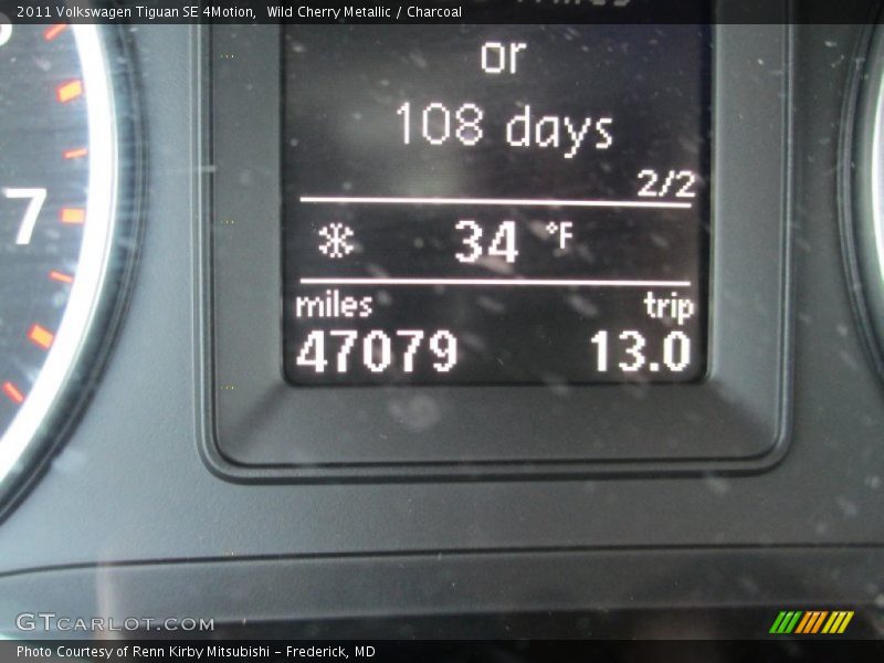 Wild Cherry Metallic / Charcoal 2011 Volkswagen Tiguan SE 4Motion