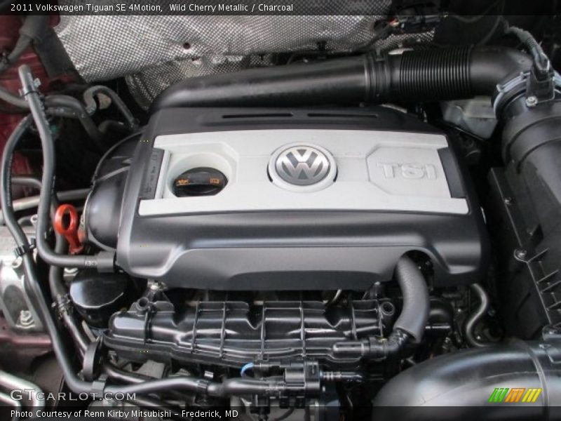 Wild Cherry Metallic / Charcoal 2011 Volkswagen Tiguan SE 4Motion