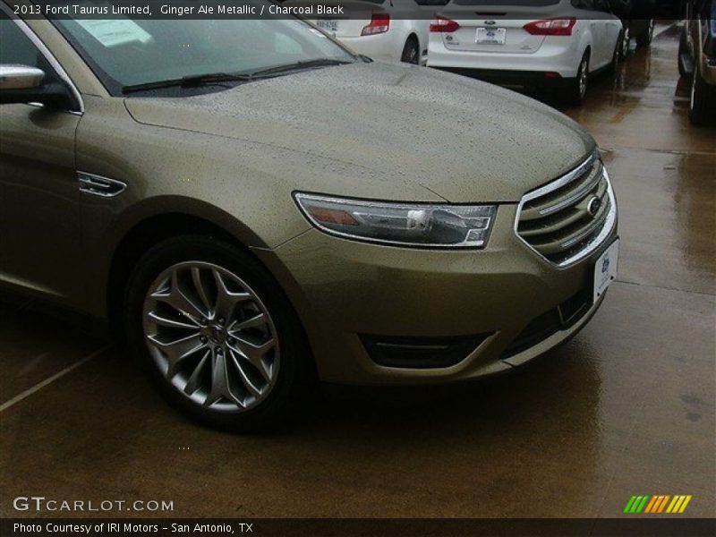 Ginger Ale Metallic / Charcoal Black 2013 Ford Taurus Limited