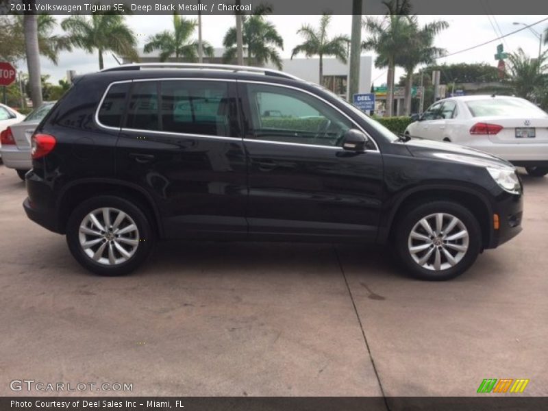 Deep Black Metallic / Charcoal 2011 Volkswagen Tiguan SE