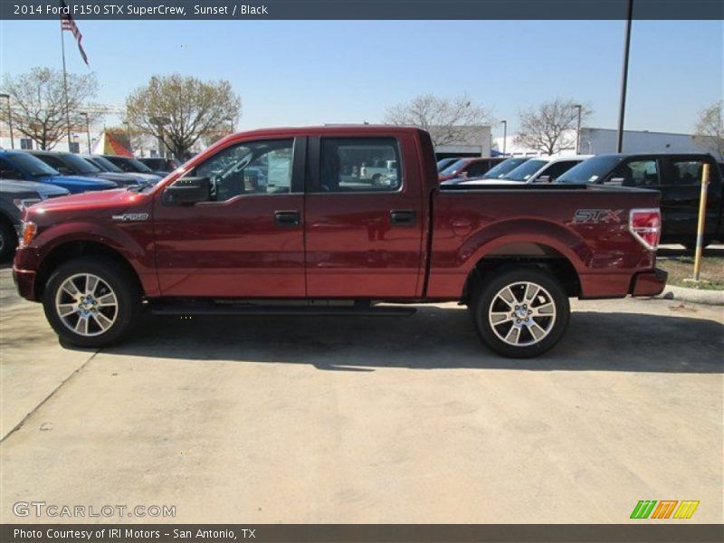 Sunset / Black 2014 Ford F150 STX SuperCrew