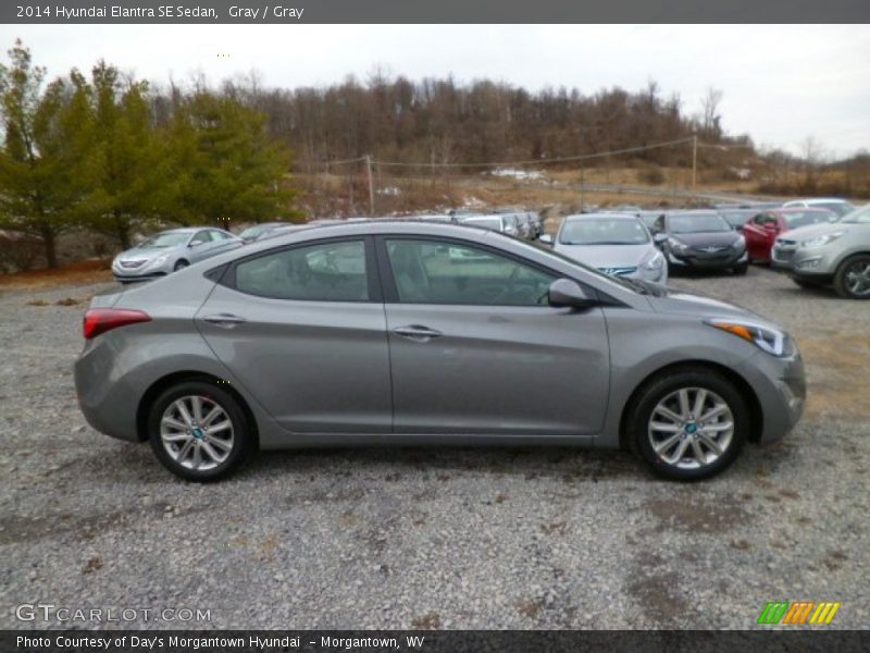 Gray / Gray 2014 Hyundai Elantra SE Sedan