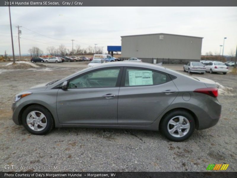 Gray / Gray 2014 Hyundai Elantra SE Sedan