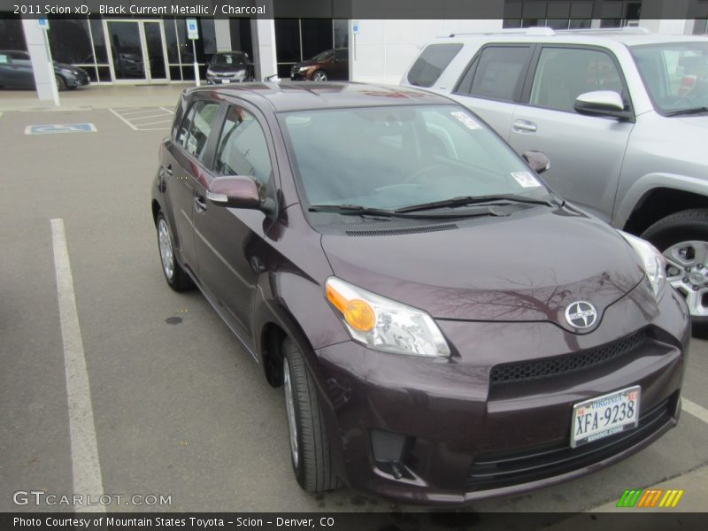 Black Current Metallic / Charcoal 2011 Scion xD