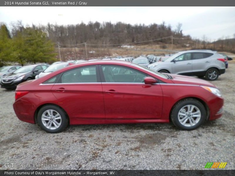 Venetian Red / Gray 2014 Hyundai Sonata GLS