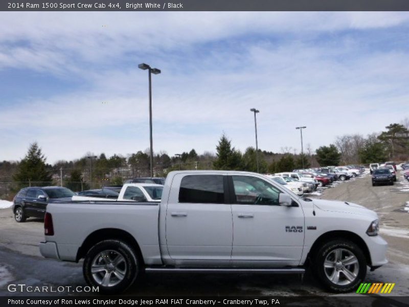 Bright White / Black 2014 Ram 1500 Sport Crew Cab 4x4