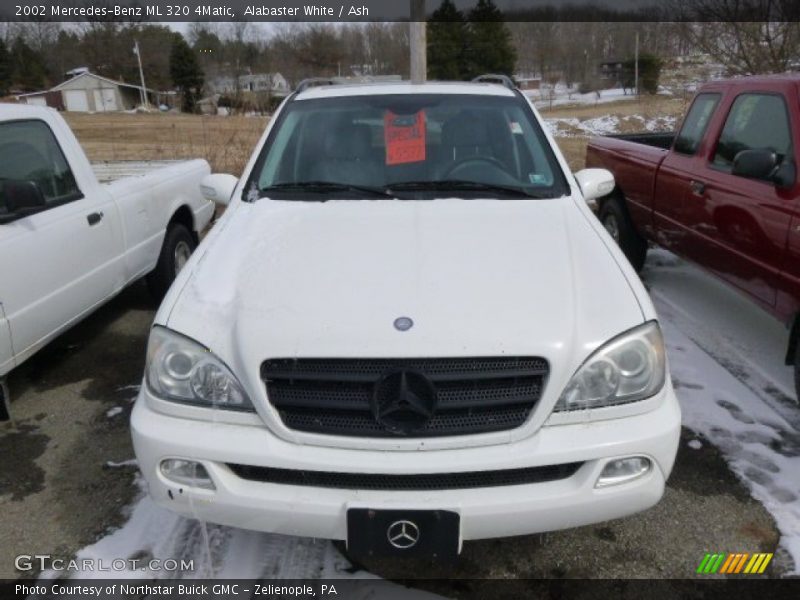 Alabaster White / Ash 2002 Mercedes-Benz ML 320 4Matic