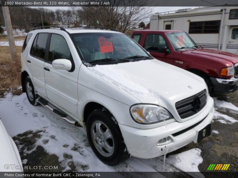 Alabaster White / Ash 2002 Mercedes-Benz ML 320 4Matic