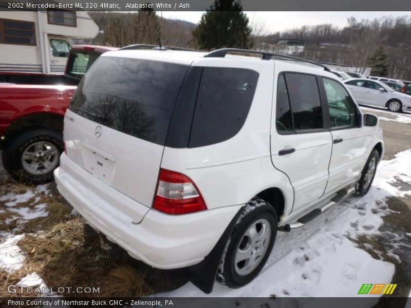 Alabaster White / Ash 2002 Mercedes-Benz ML 320 4Matic