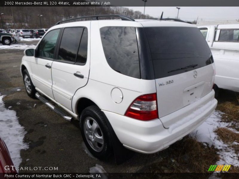 Alabaster White / Ash 2002 Mercedes-Benz ML 320 4Matic