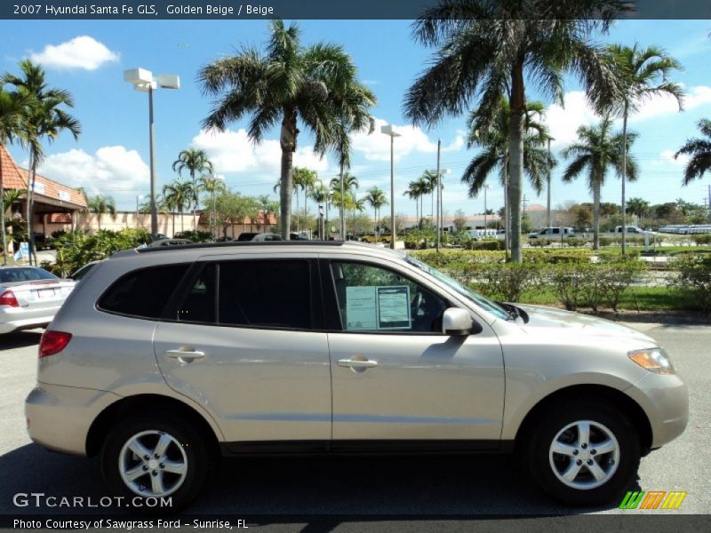 Golden Beige / Beige 2007 Hyundai Santa Fe GLS