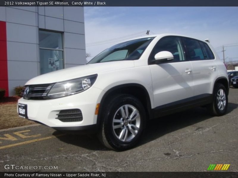 Candy White / Black 2012 Volkswagen Tiguan SE 4Motion