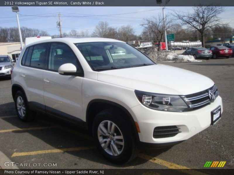 Candy White / Black 2012 Volkswagen Tiguan SE 4Motion
