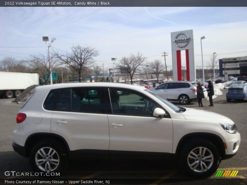 Candy White / Black 2012 Volkswagen Tiguan SE 4Motion