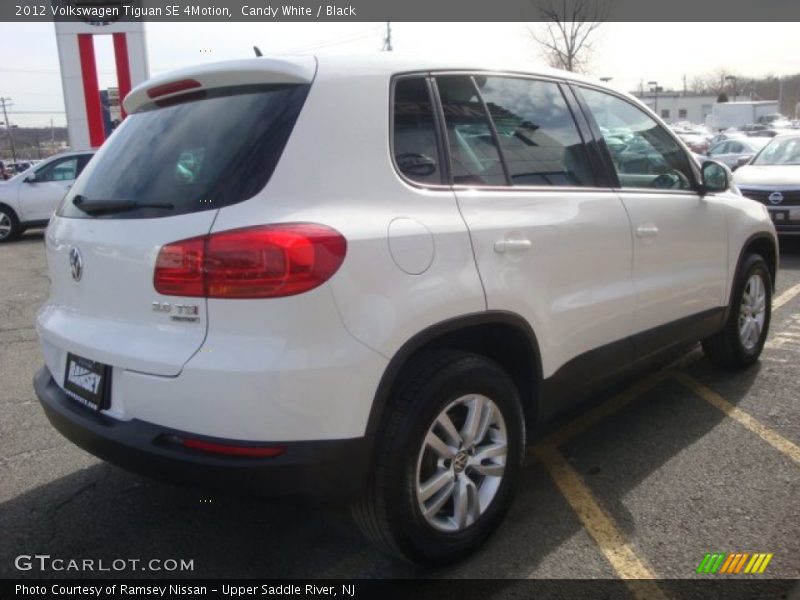 Candy White / Black 2012 Volkswagen Tiguan SE 4Motion