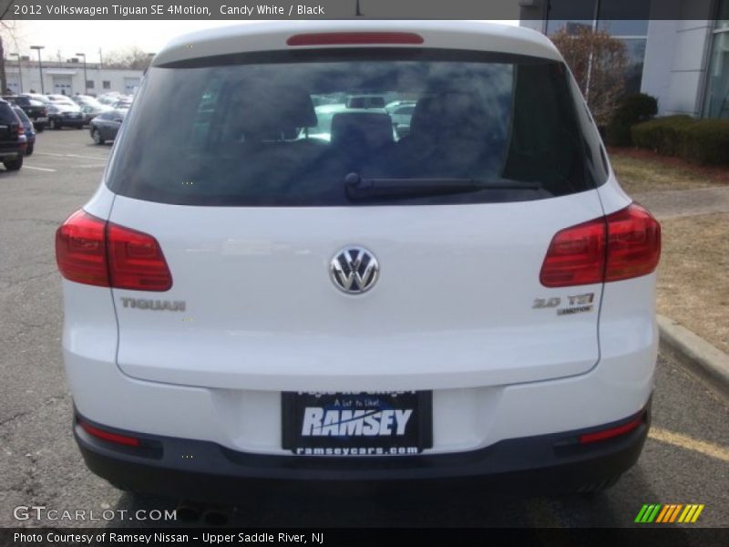 Candy White / Black 2012 Volkswagen Tiguan SE 4Motion