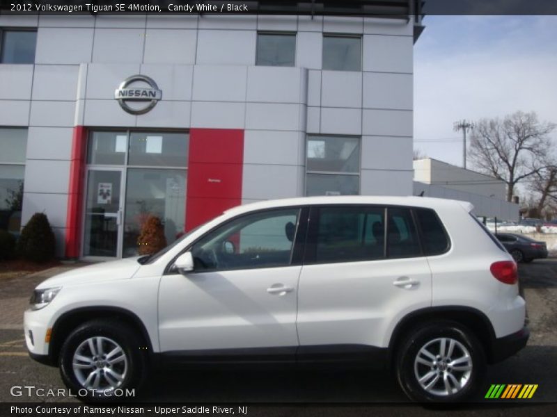 Candy White / Black 2012 Volkswagen Tiguan SE 4Motion