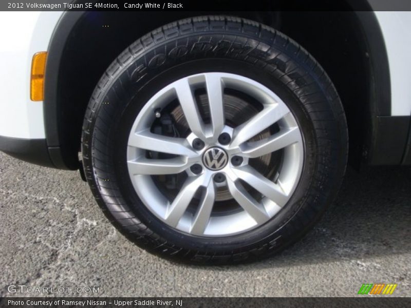 Candy White / Black 2012 Volkswagen Tiguan SE 4Motion