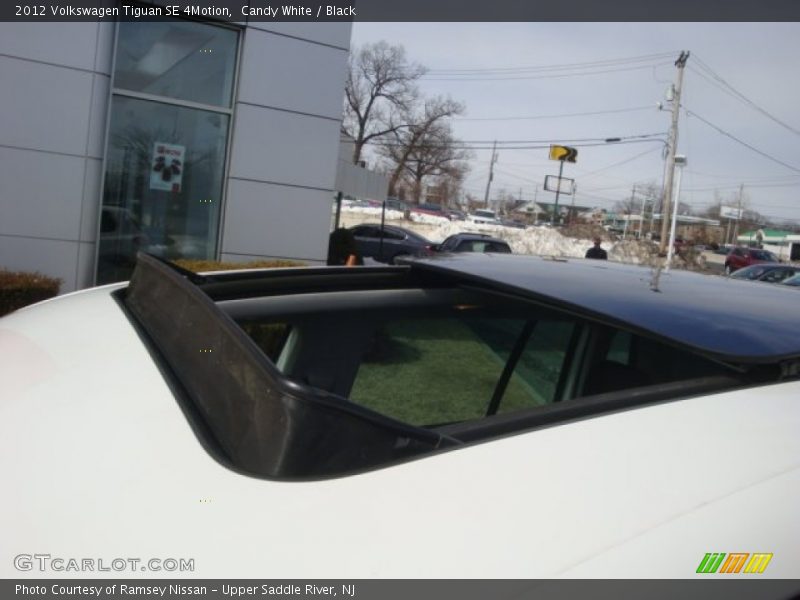 Candy White / Black 2012 Volkswagen Tiguan SE 4Motion