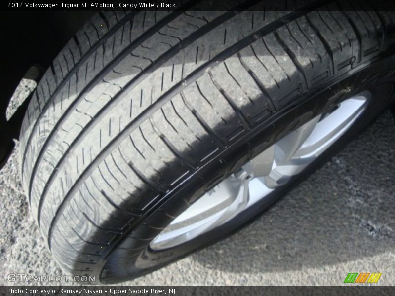 Candy White / Black 2012 Volkswagen Tiguan SE 4Motion