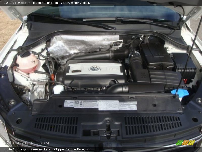 Candy White / Black 2012 Volkswagen Tiguan SE 4Motion