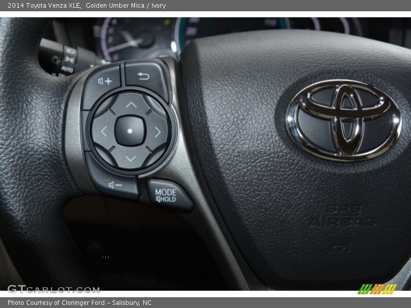 Golden Umber Mica / Ivory 2014 Toyota Venza XLE