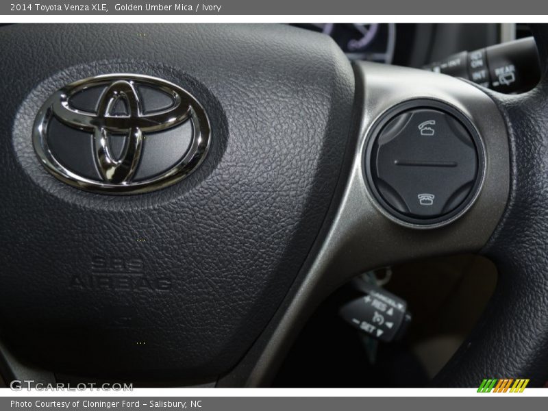 Golden Umber Mica / Ivory 2014 Toyota Venza XLE